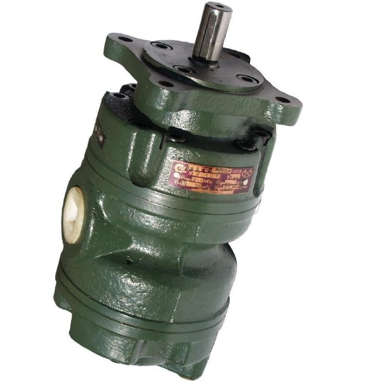 Насос пластинчатый нерегулируемый 5БГ12-23М